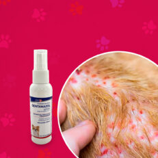 Gentanazol spray: Complejo Tratamiento Dermatológico para Mascotas